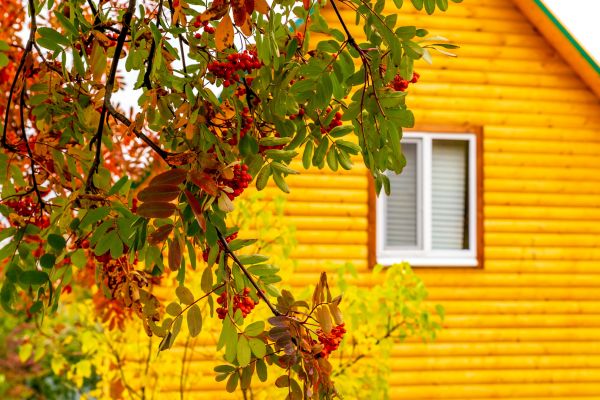 Garden Window Replacement in Hamburg